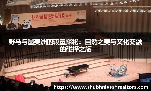 野马与墨美洲的较量探秘：自然之美与文化交融的碰撞之旅